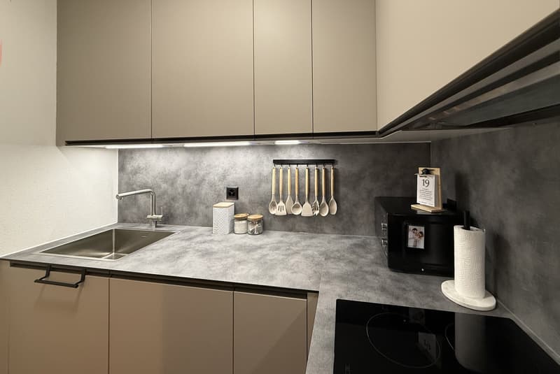 BELLISSIMO 3.5 LOCALI INTERAMENTE RINOVATO A LUGANO SUD (5)