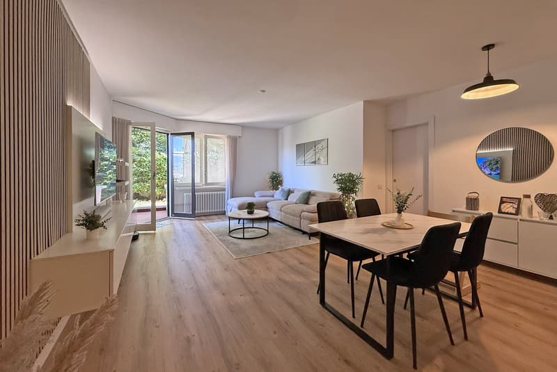 BELLISSIMO 3.5 LOCALI INTERAMENTE RINOVATO A LUGANO SUD (1)