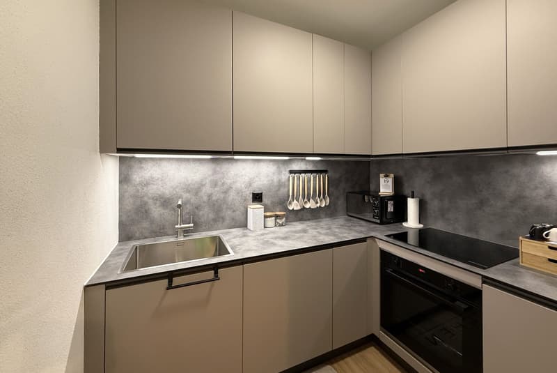 BELLISSIMO 3.5 LOCALI INTERAMENTE RINOVATO A LUGANO SUD (4)