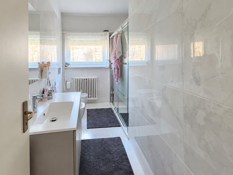 BELLISSIMO APPARTAMENTO 4.5 LOCALI A BELLINZONA CENTRO (8)