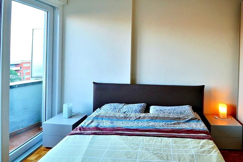 ELEGANTE 3.5 LOCALI CON TERRAZZA E VISTA LAGO A PARADISO (7)