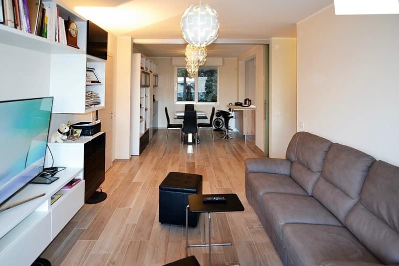 ELEGANTE 3.5 LOCALI CON TERRAZZA E VISTA LAGO A PARADISO (3)