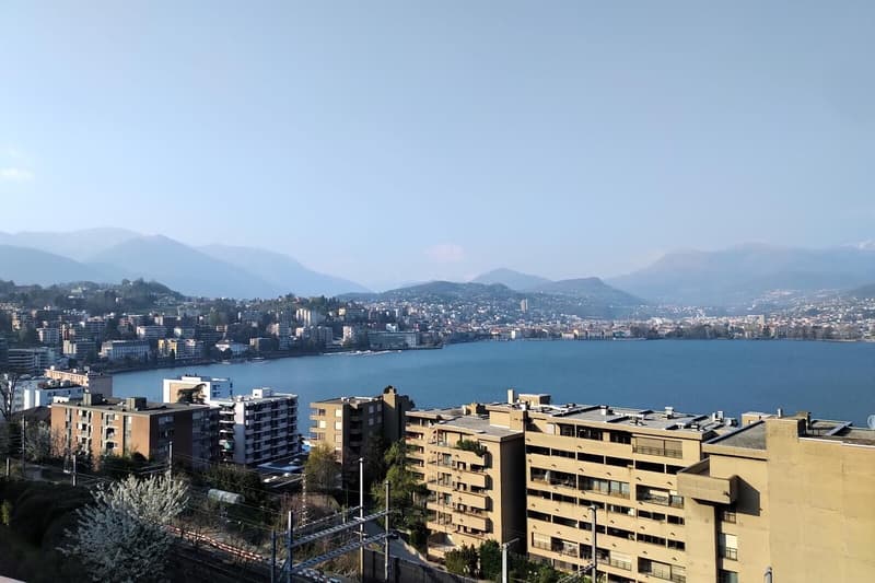 ELEGANTE 3.5 LOCALI CON TERRAZZA E VISTA LAGO A PARADISO (5)