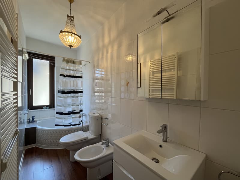 AFFITTASI ATTICO OPEN-SPACE DI DESIGN A MASSAGNO (9)