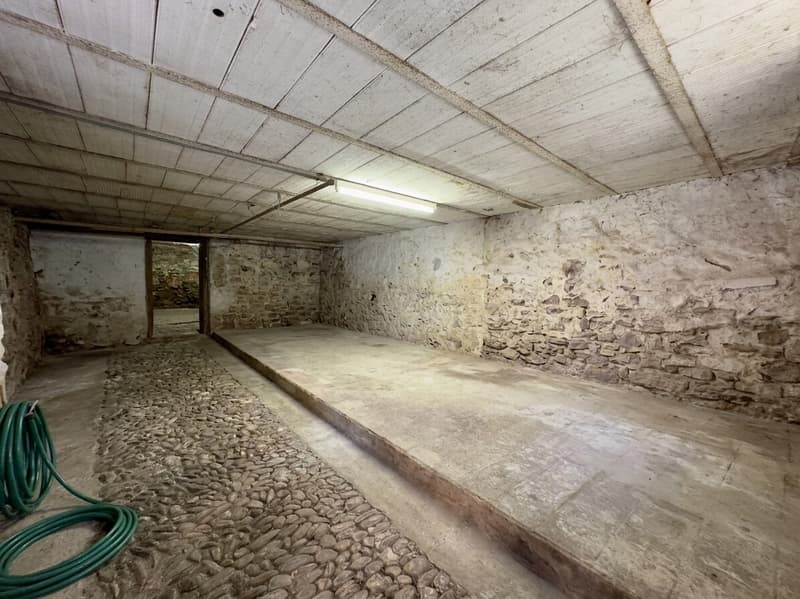 AMPIO RUSTICO DA RISTRUTTURARE NEL NUCLEO DI SAN VITTORE (1)