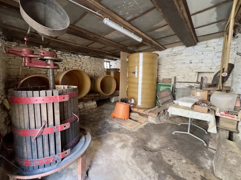 AMPIO RUSTICO DA RISTRUTTURARE NEL NUCLEO DI SAN VITTORE (7)
