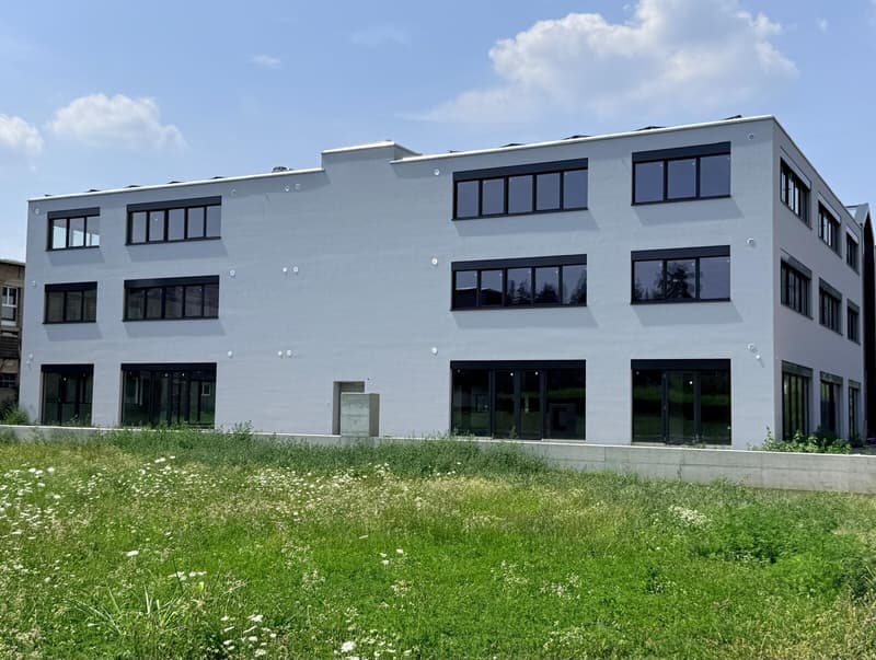 NUOVO SPAZIO ARTIGIANALE/COMMERCIALE MODULABILE A MENDRISIO (3)