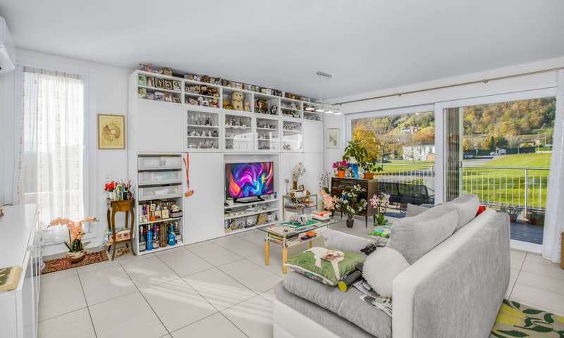 MODERNA E AMPIA VILLA BIFAMILIARE 6.5 CON PISCINA A BEDANO (2)
