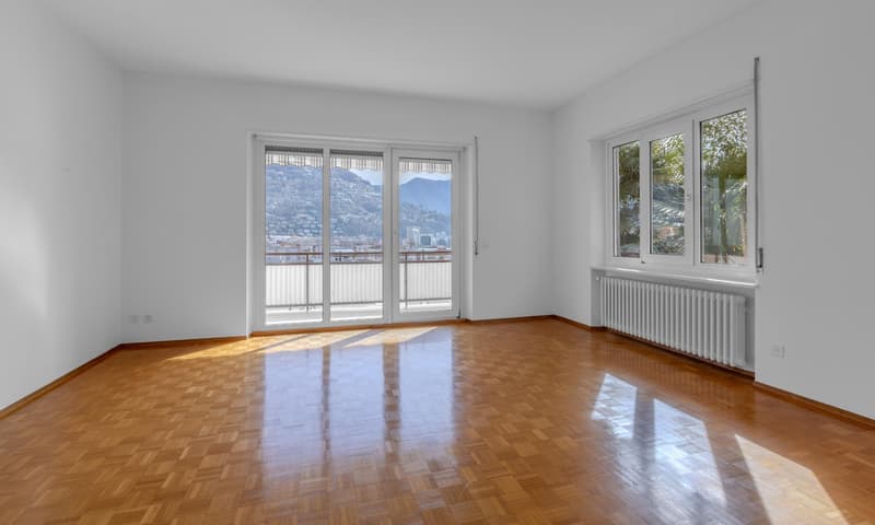 AFFITTASI AMPIO 4.5 LOCALI CON VISTA APERTA A LUGANO CENTRO (1)
