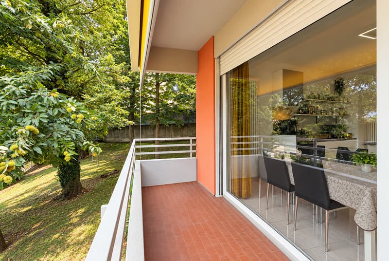 SPAZIOSO E LUMINOSO 2.5 LOCALI IN ZONA MONCUCCO A LUGANO (3)