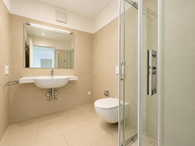 AFFITTASI MODERNO 3.5 LOCALI CON PARCO RESIDENZIALE A STABIO (6)