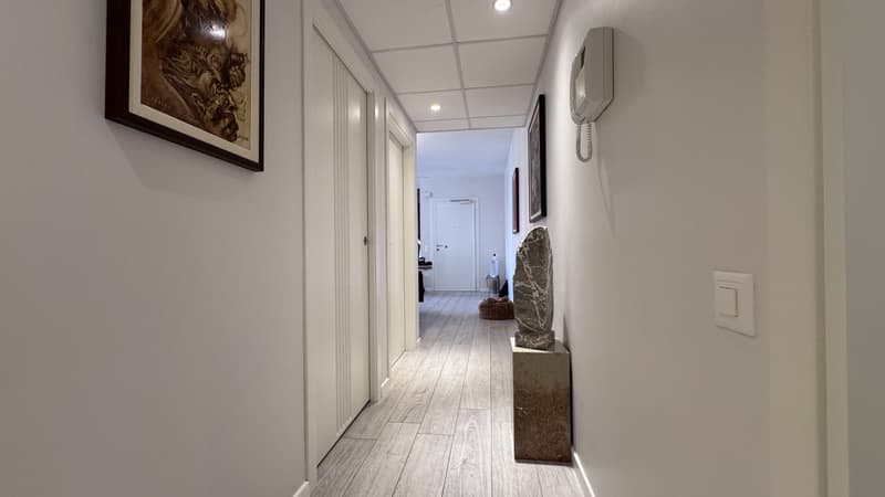 STUPENDO E AMPIO 3.5 LOCALI IN ZONA CENTRALE DI LUGANO (9)