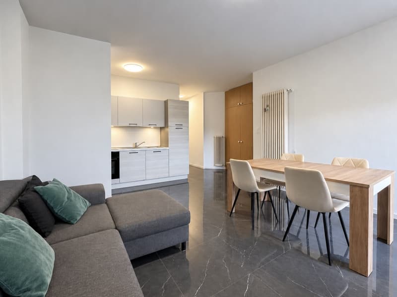 AFFITTASI ATTICO ARREDATO DI 3.5 LOCALI CON BALCONE A LUGANO (2)