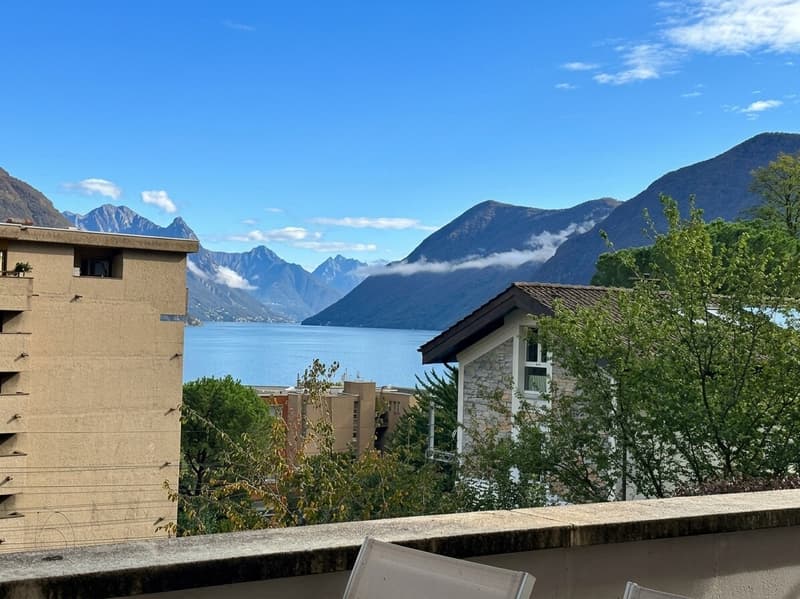 ELEGANTE 3.5 LOCALI CON TERRAZZA E SCORCIO LAGO A PARADISO (3)