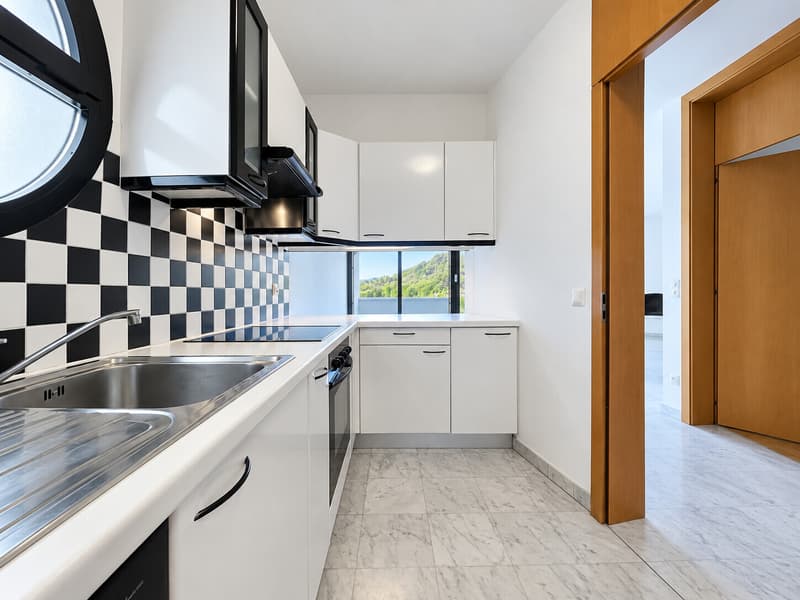 AFFITTASI MODERNO 4.5 LOCALI CON GIARDINO PRIVATO A CARABBIA (4)
