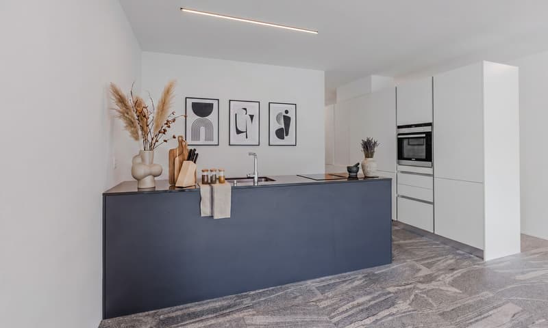 MODERNO ED AMPIO 3.5 LOCALI COME NUOVO A BELLINZONA (1)