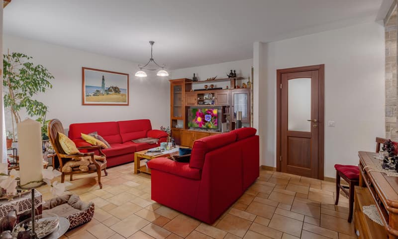 ACCOGLIENTE E GRAZIOSA CASA 5.5 CON GIARDINO A MEDEGLIA (1)