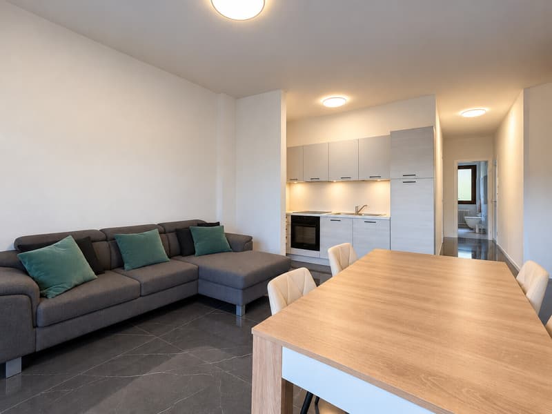 AFFITTASI ATTICO ARREDATO DI 3.5 LOCALI CON BALCONE A LUGANO (7)