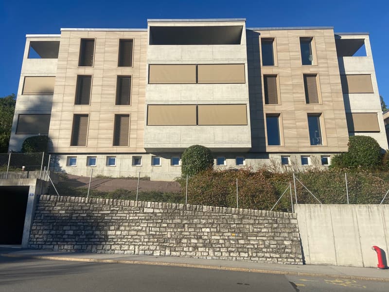 2.5 LOCALI DI RECENTE COSTRUZIONE CON GIARDINO A BALERNA (1)