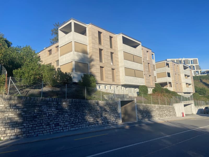 2.5 LOCALI DI RECENTE COSTRUZIONE CON GIARDINO A BALERNA (7)