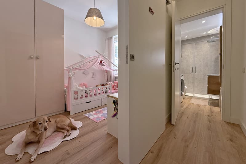 BELLISSIMO 3.5 LOCALI INTERAMENTE RINOVATO A LUGANO SUD (7)