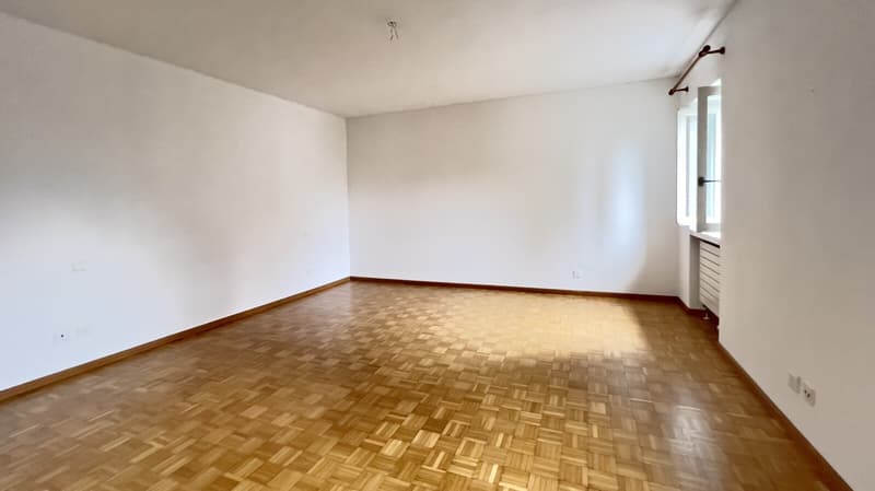 AFFARE - ACCOGLIENTE DUPLEX 3.5 LOCALI NEL CUORE DI PURASCA (6)