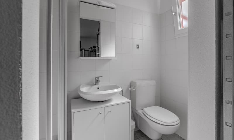 COMODA CASA 4.5 LOCALI NEL VERDE CON VISTA A BELLINZONA-DARO (12)