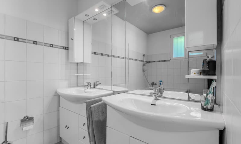 COMODA CASA 4.5 LOCALI NEL VERDE CON VISTA A BELLINZONA-DARO (9)