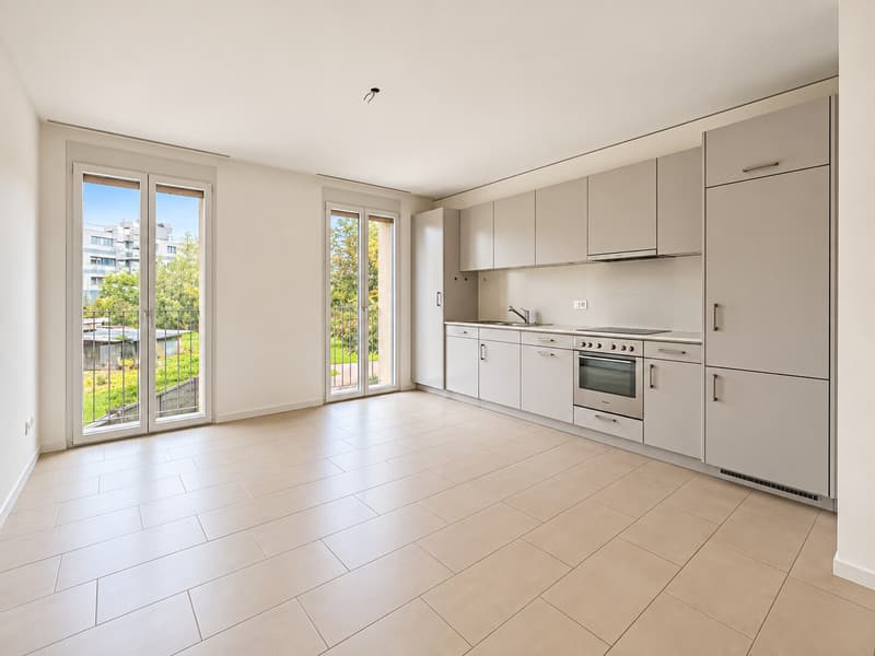 AFFITTASI MODERNO 3.5 LOCALI CON PARCO RESIDENZIALE A STABIO (2)