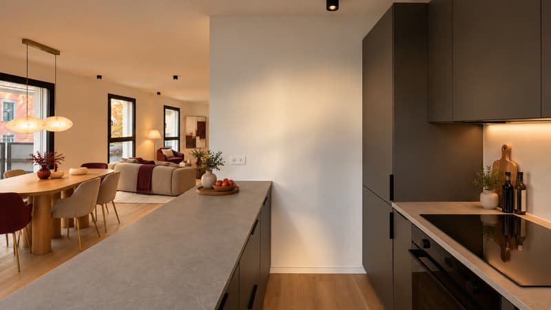 NUOVO APPARTAMENTO 3.5 LOCALI CON VISTA LAGO A MASSAGNO (1)