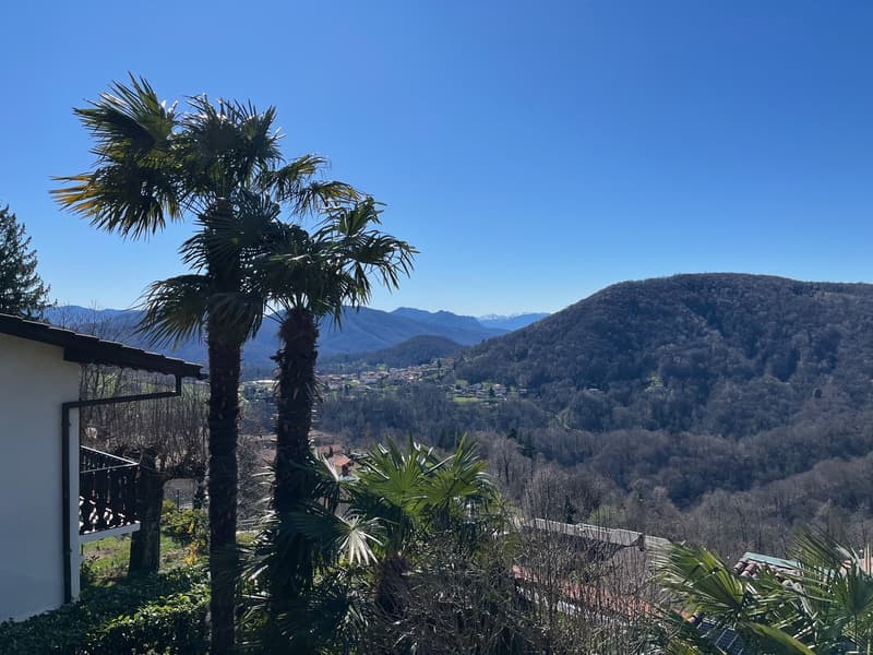 Casa unifamiliare con giardino ad Aranno (1)