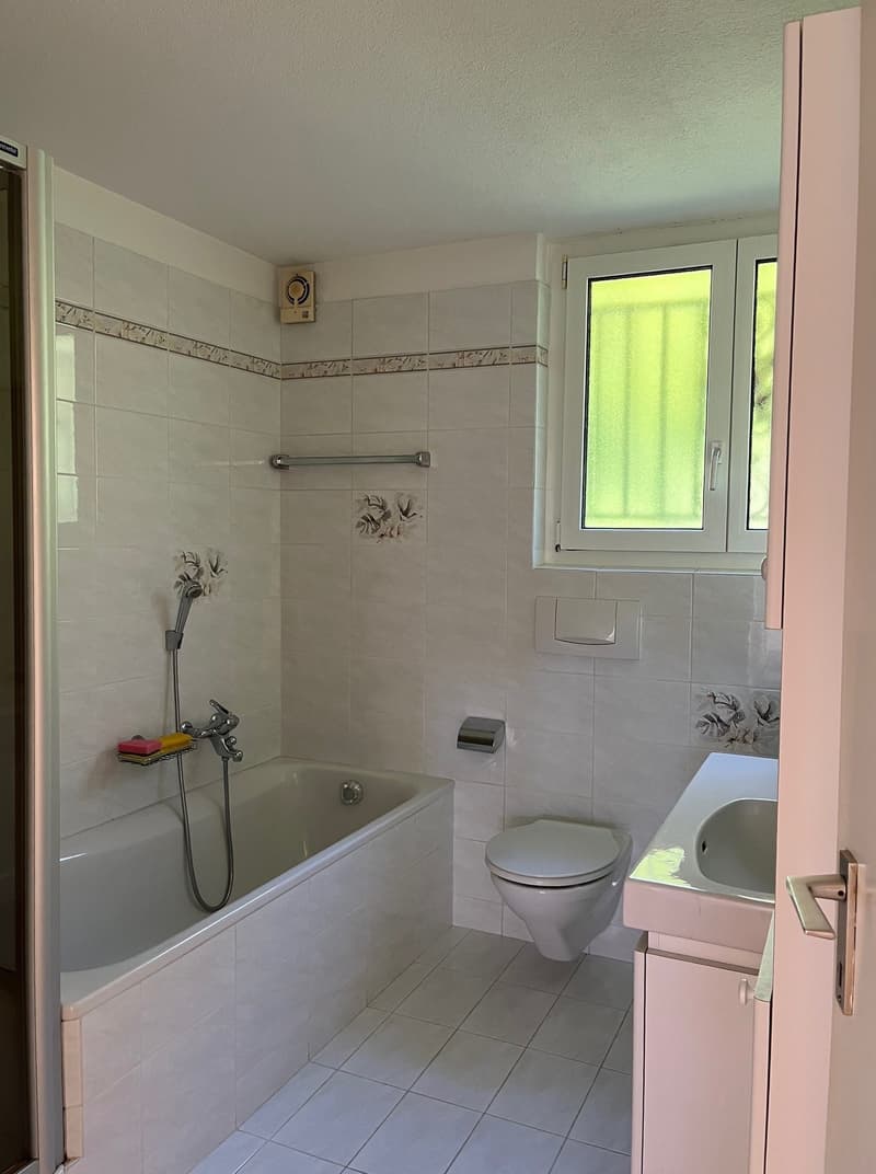 Casa unifamiliare con giardino ad Aranno (8)