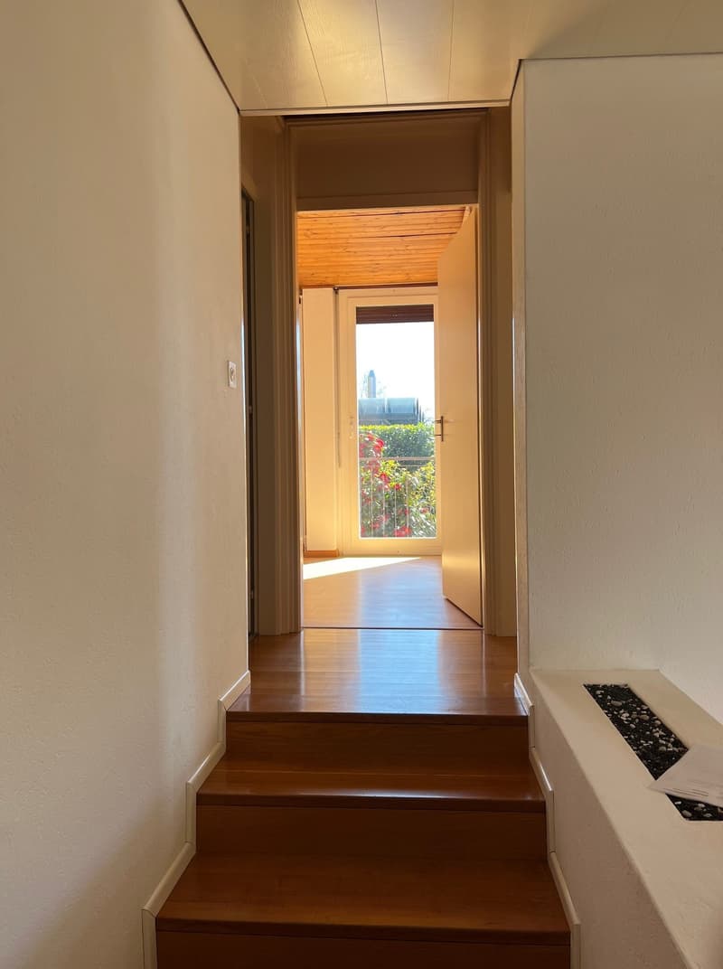 Casa unifamiliare con giardino ad Aranno (6)