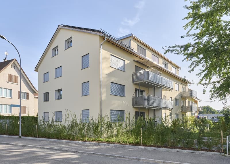 Total sanierte 2 1/2 - Zimmerwohnungen im 2. OG (1)