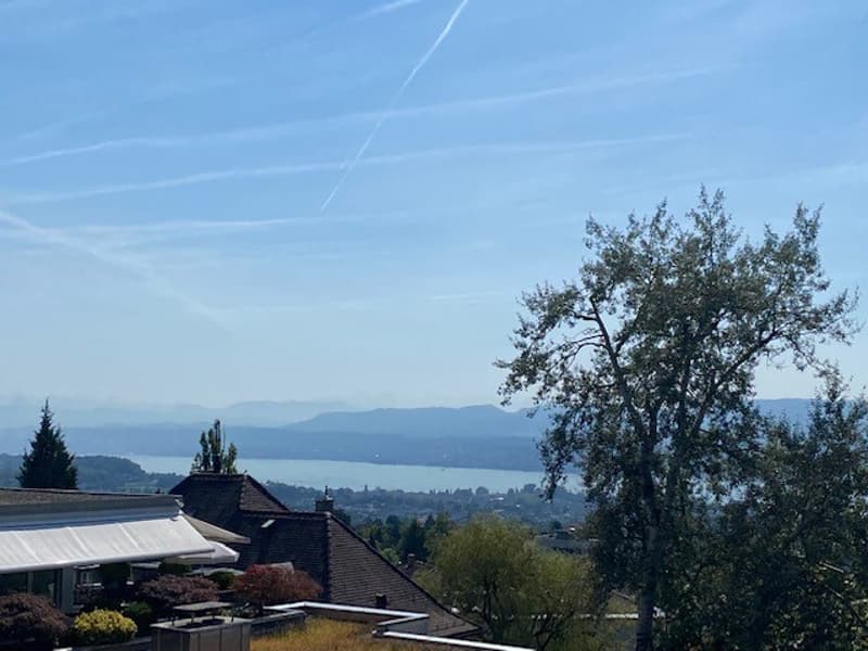 Traumhafte Stadt- und Seesicht (1)