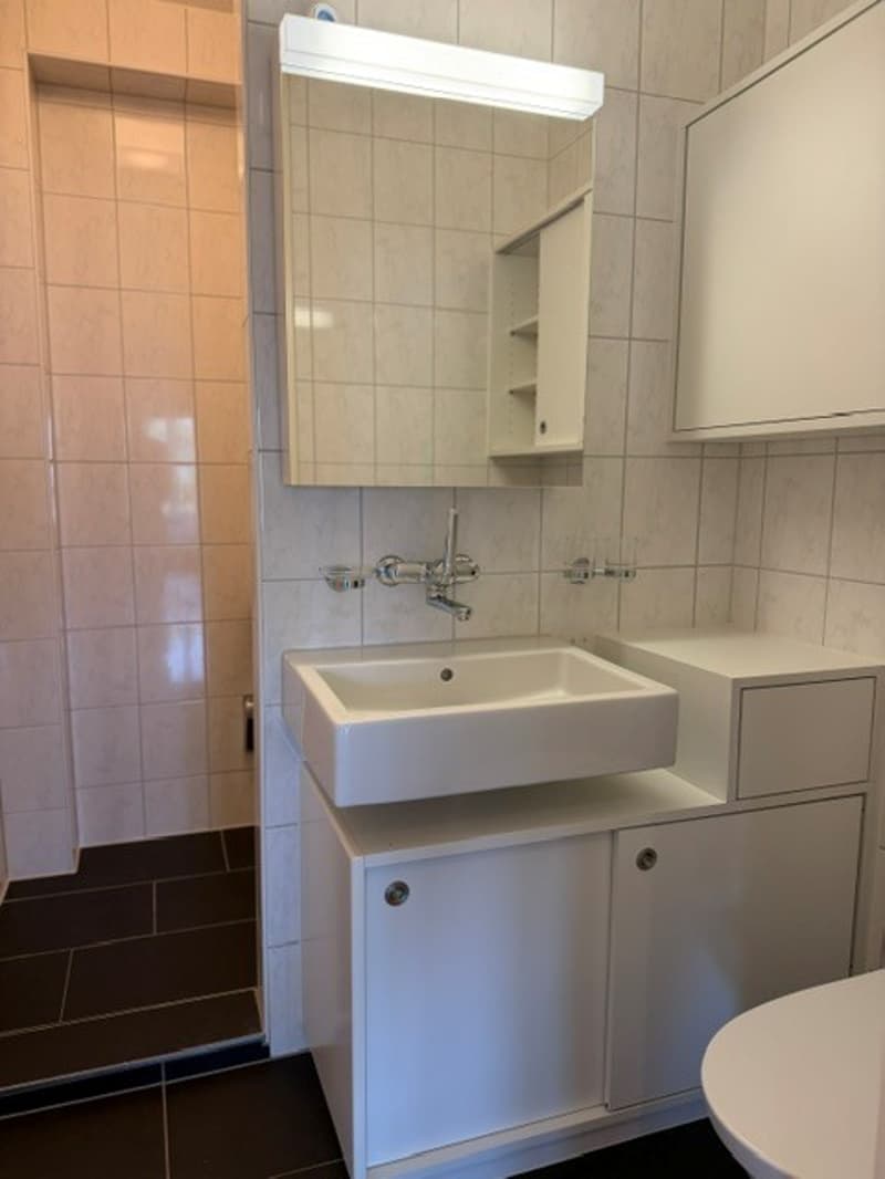 Traumhafte Stadt- und Seesicht (11)