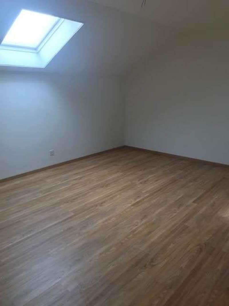 Wohn- Esszimmer