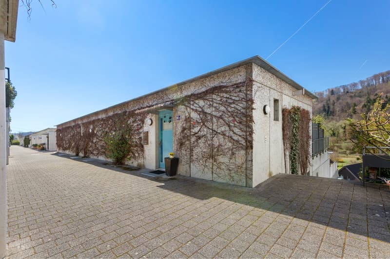 white building with ivy, blue door, brick pavement, small plants, mountain in the background