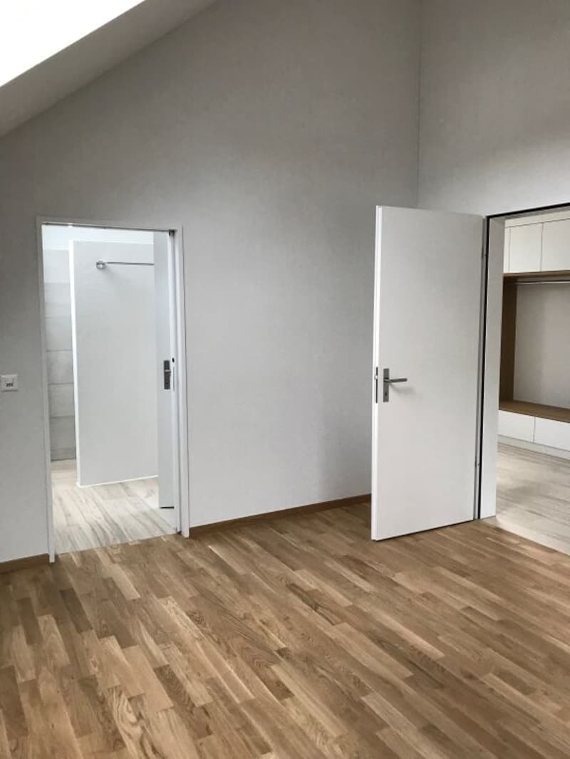 Schöne, helle 2.5-Zimmerdachwohnung (6)