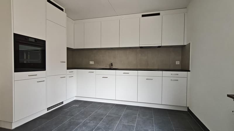Renovierte 3.5 Zi-Wohnung beim Irchelpark zu vermieten (2)