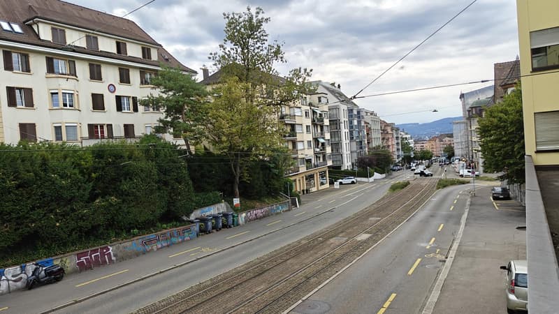 Renovierte 3.5 Zi-Wohnung beim Irchelpark zu vermieten (9)