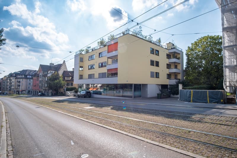 Renovierte 3.5 Zi-Wohnung beim Irchelpark zu vermieten (1)