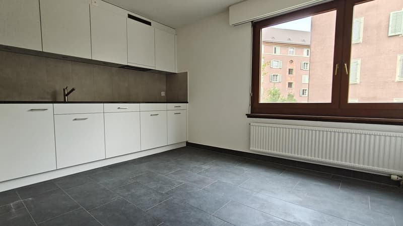 Renovierte 3.5 Zi-Wohnung beim Irchelpark zu vermieten (3)