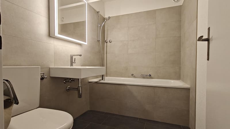 Renovierte 3.5 Zi-Wohnung beim Irchelpark zu vermieten (5)
