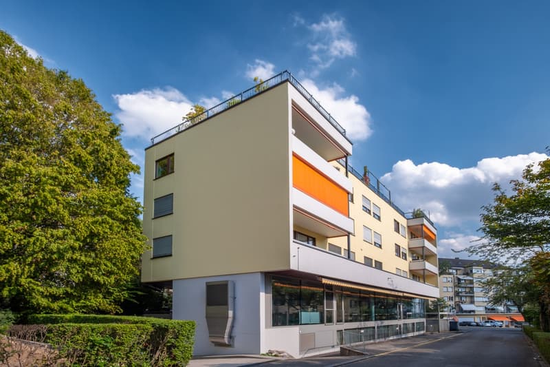 Renovierte 3.5 Zi-Wohnung beim Irchelpark zu vermieten (11)