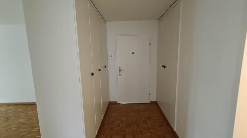 Renovierte 3.5 Zi-Wohnung beim Irchelpark zu vermieten (8)