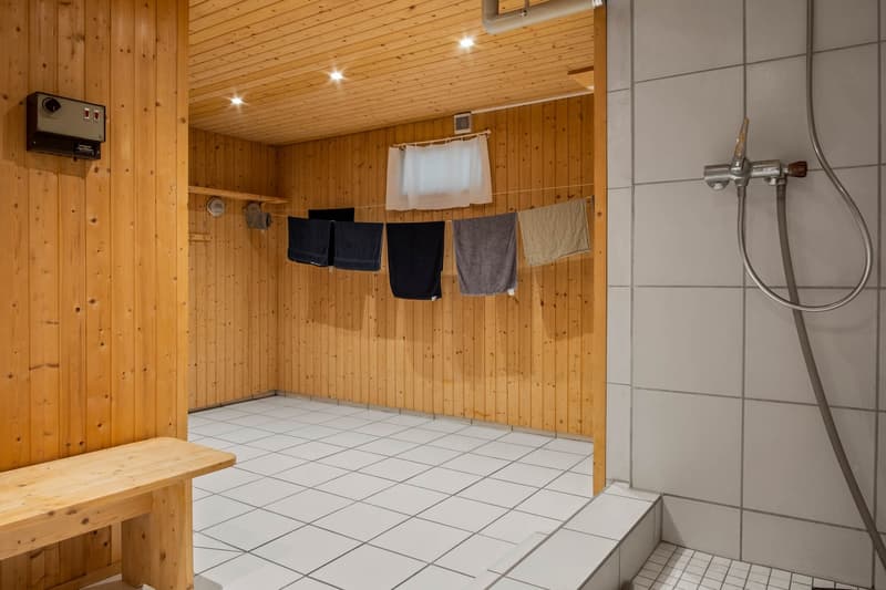 Renovierte 2.5 Zimmer-Gartenwohnung mit Wellnessbereich (9)