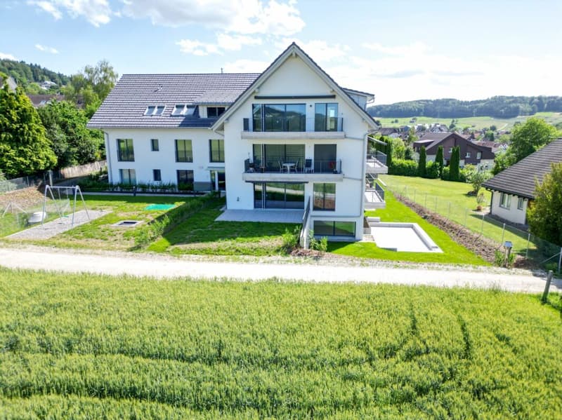 Votre refuge dans le vert avec panorama Uetliberg (19)