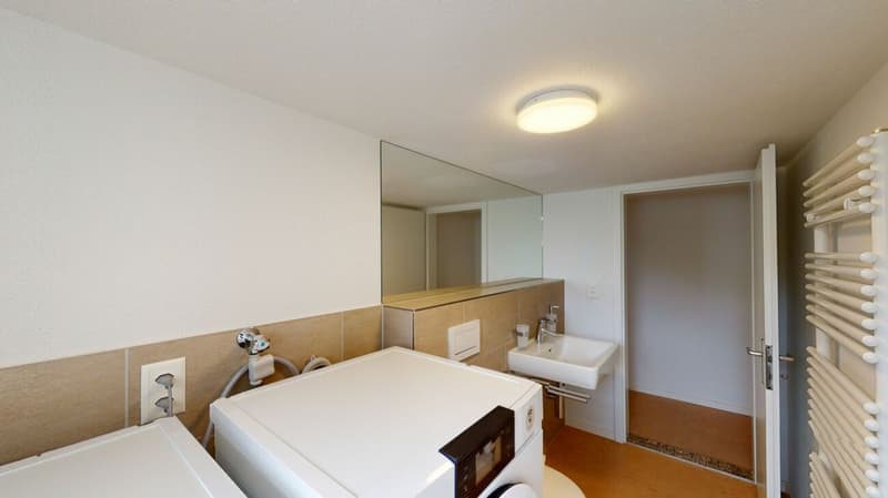Charmantes 6.5-Zimmer-EFH mit Einliegerwohnung - attraktive Kapitalanlage oder spätere Eigennutzung (4)