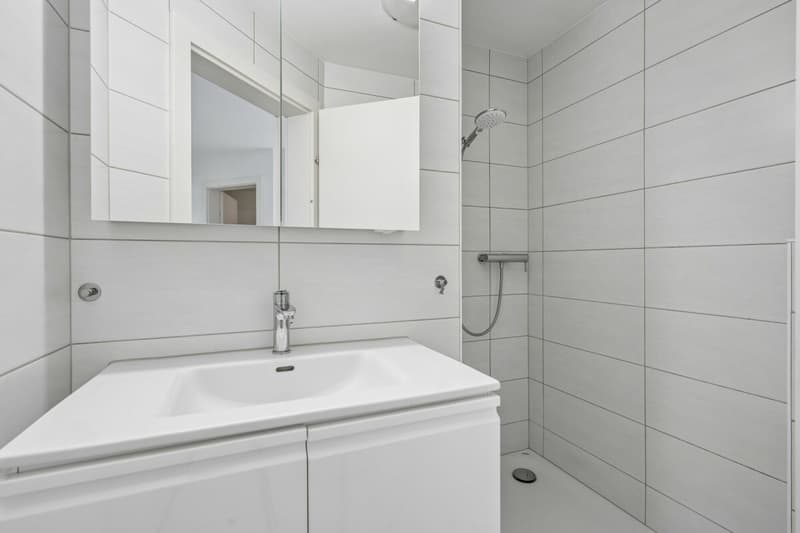 Badzimmer mit Dusche